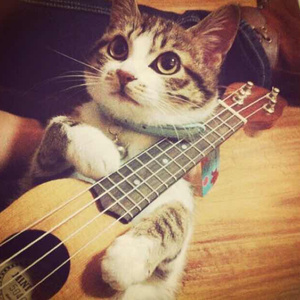 METCN人体模特二区
