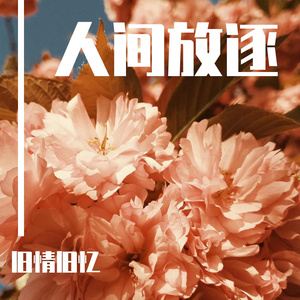 METCN人体模特二区
